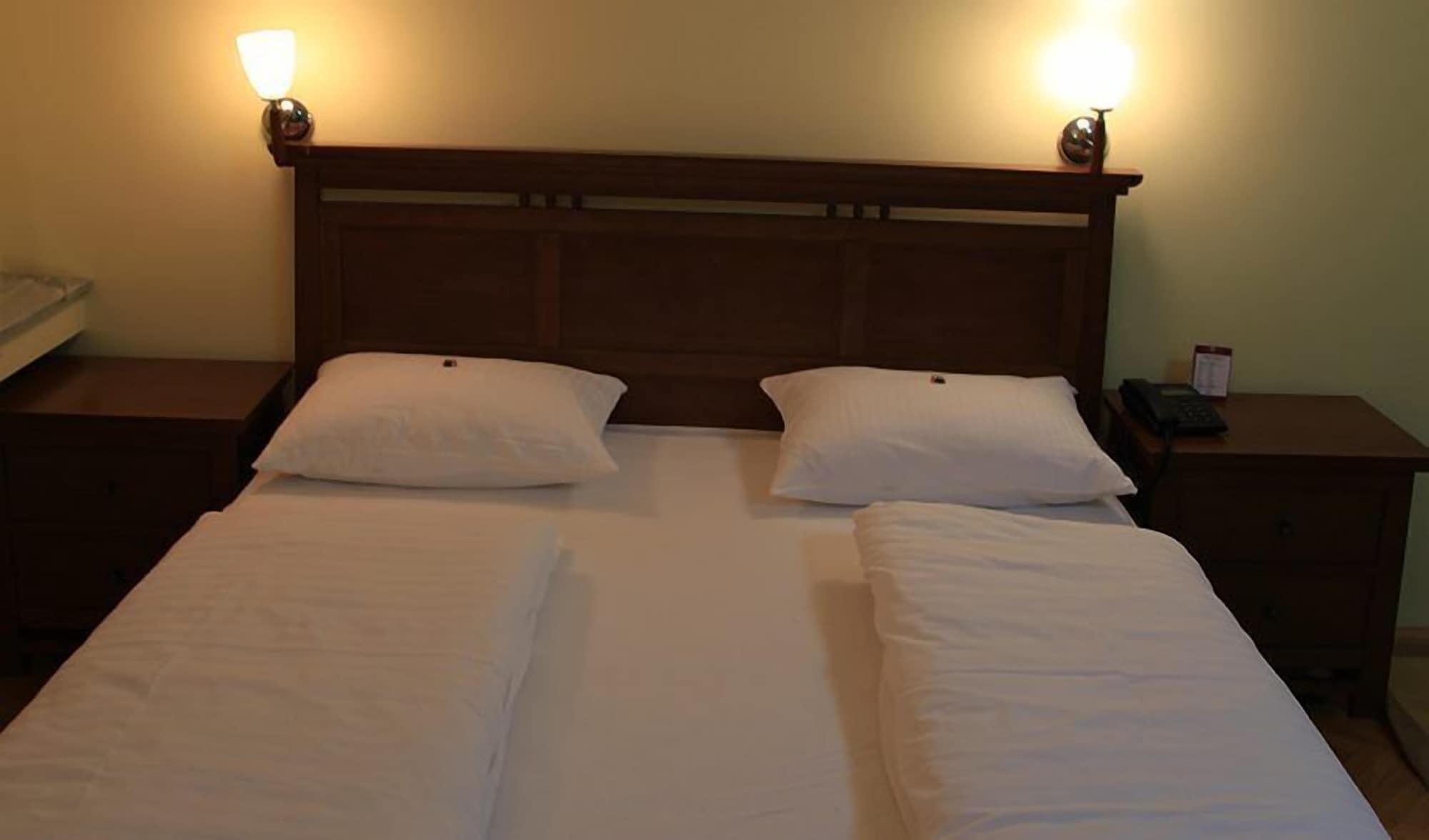 Hotel Pahuljica ヴラシチ エクステリア 写真